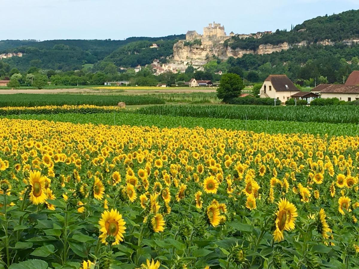 La Source, Beynac, Dordogne Hotell Eksteriør bilde